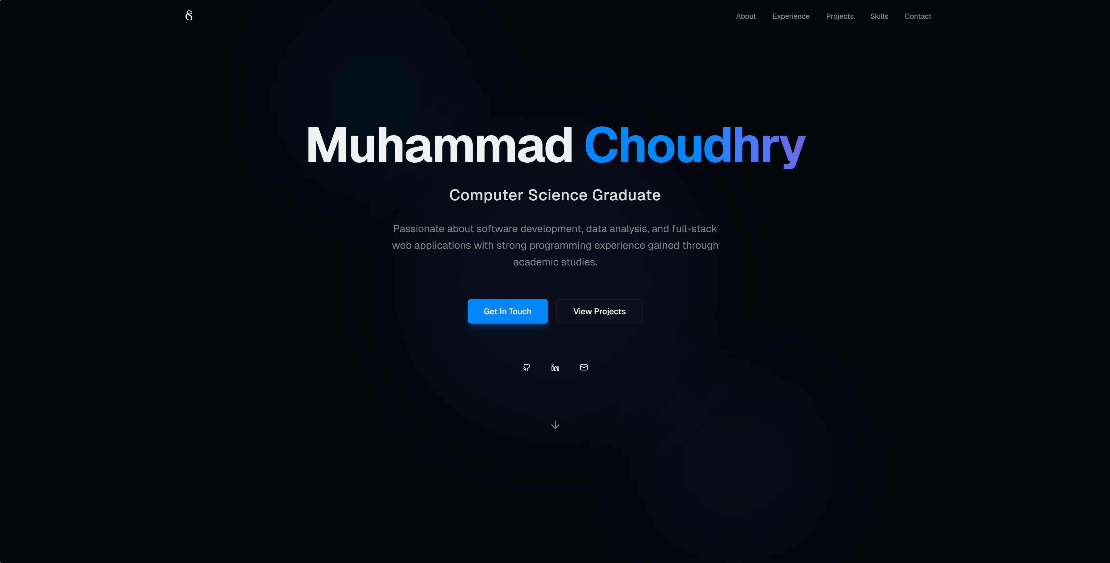 Professional Portfolio Website